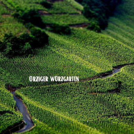 Apartment Weingut Dr Hermann I Ерден Екстериор снимка
